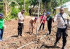 Dukung-Petani-Lokal,-Bhabinkamtibmas-Larantuka-dan-Kelompok-Tani-Emaus-Tanam-Jagung-di-Weri