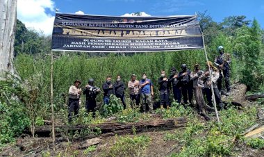 Polri-Musnahkan-7-Haktare-Ladang-Ganja-Di-Gunung-Lauser-Dan-Sita-592-Kg-Ganja-Kering