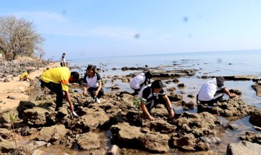 Bhakti-Lingkungan,-Polres-Flotim-Tanam-Pohon-Mangrove-Guna-Peringati-HUT-Humas-Polri-ke-72