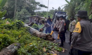 Personil-Sat.-Samapta-Polres-Flotim-Bersama-Personil-BKO-Samapta-Polda-NTT-Bersihkan-Pohon-Tumbang-Di-Jalan-Di-Kawasan-Wulanggitang