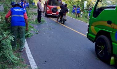 Antisipasi-Kecelakaan-Lalu-Lintas,-kolaborasi-Polres-Flotim-dan-Kelompok-Siaga-Bencana-Desa-Mokantarak-Bersihkan-Pohon.