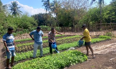 Wujud-Kepedulian-Polri,-Bhabinkamtibmas-Polsek-Solor-Membantu-Para-Petani-Berikan-Penyuluhan-Dan-Bimbingan-Dalam-Bertani