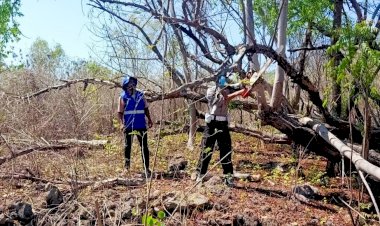 Personel-Gabungan-Polres-Flores-Timur-Cari-Kayu-Bakar-untuk-Memasak-Makanan-Pengungsi-di-Konga