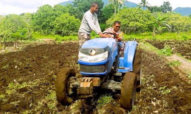 Pembersihan-Lahan-Perkebunan-di-Desa-Pululera-Dalam-Rangka-Penanaman-Jagung-Serentak