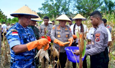 Polda-NTT-Panen-Jagung-Serentak-Tahap-I,-Dukung-Swasembada-Pangan-2025