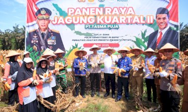 Kapolres-Kampar-Panen-Raya-Jagung:- Wujud-Dukungan-Nyata-untuk-Ketahanan-Pangan-Nasional