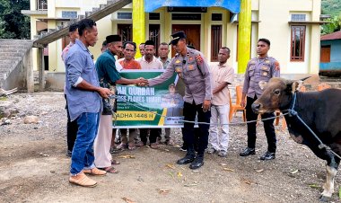 Sambut-Idul-Adha,-Warga-Samasoge-Terima-Sapi-Qurban-dari-Kapolres-Flotim