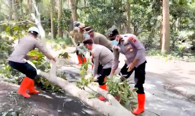 Polres-Flotim-Bersihkan-Jalur-Tertutup-Pohon,-Warga-Diimbau-Tetap-Waspada-Aktivitas-Gunung-Lewotobi