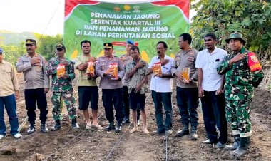 Wakapolres-Flotim-Pimpin-Penanaman-Jagung-di-Adonara,-Dorong-Ketahanan-Pangan-Daerah