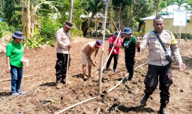 Dukung-Petani-Lokal,-Bhabinkamtibmas-Larantuka-dan-Kelompok-Tani-Emaus-Tanam-Jagung-di-Weri