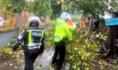 Pohon-Tumbang-Tutupi-Jalan,-Satlantas-Polres-Flotim-Bergerak-Cepat