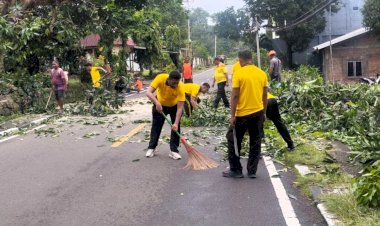 Antisipasi-Cuaca-Ekstrem,-Polres-dan-BPBD-Flotim-Lakukan-Pemangkasan-Pohon-Rawan-Tumbang
