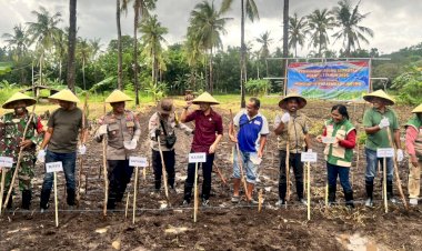 Dukung-Swasembada-Pangan-2026,-Polres-Flotim-Ikut-Tanam-Jagung-Serentak