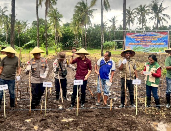 Dukung Swasembada Pangan 2026, Polres Flotim Ikut Tanam Jagung Serentak
