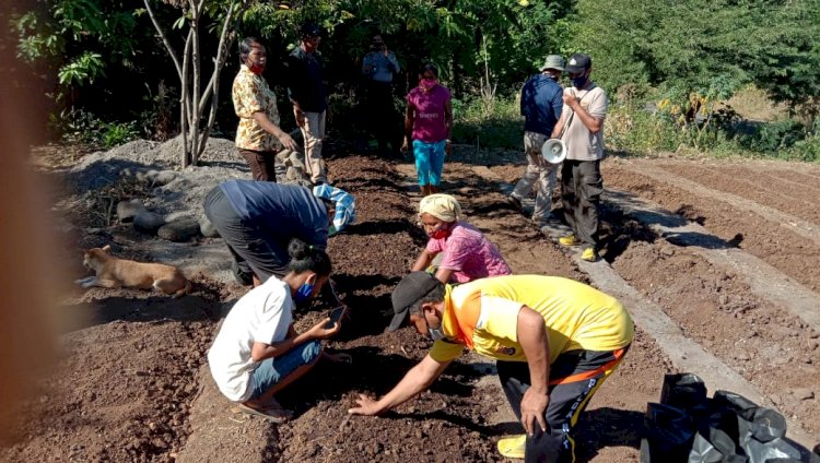 Bhabinkamtibmas Bersama PPL Kec. Ile Bura Dibantu Anggota Polsek Wulanggitang Berikan Pelatihan Cara Membuat Bedeng Tanaman Holtikultural