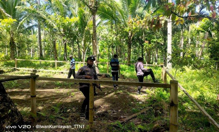 Polsek Adobar Bongkar Arena Judi Sabung Ayam Dikebun Kelapa