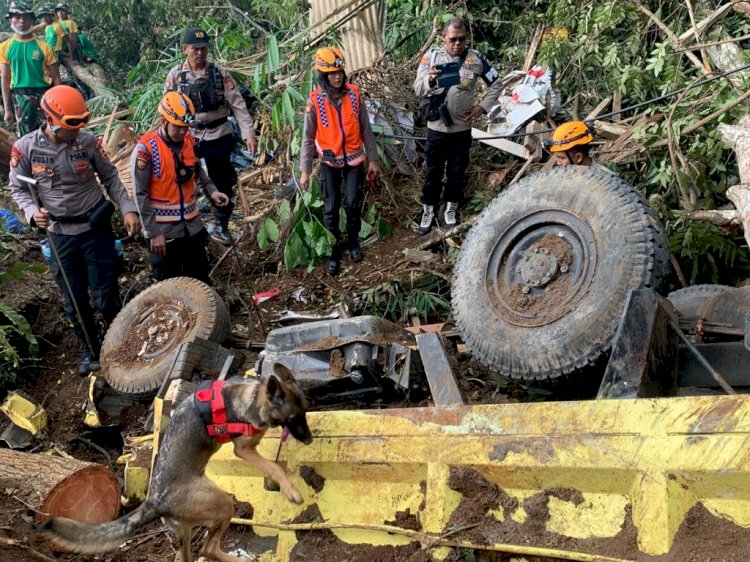 Satu Anjing Pelacak Temukan Titik Diduga Korban Tertimbun Longsor Cianjur