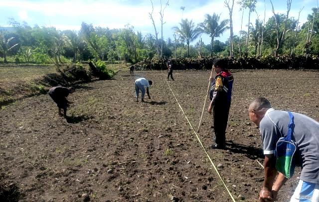 Bantu Tanam Padi, Bhabinkamtibmas : Harus Selalu Dekat Dengan Warganya Apapun Itu