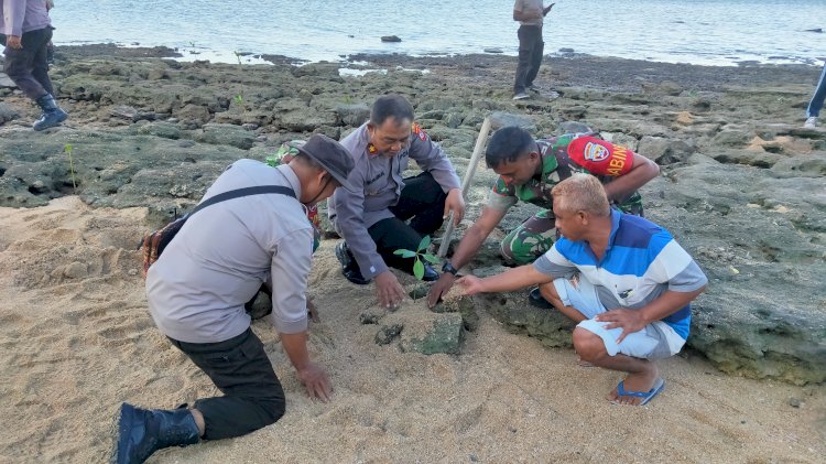Personel TNI – Polri & Warga Flores Timur Bersinergi Tanam Mangrove di Pesisir Pantai Weri - Larantuka