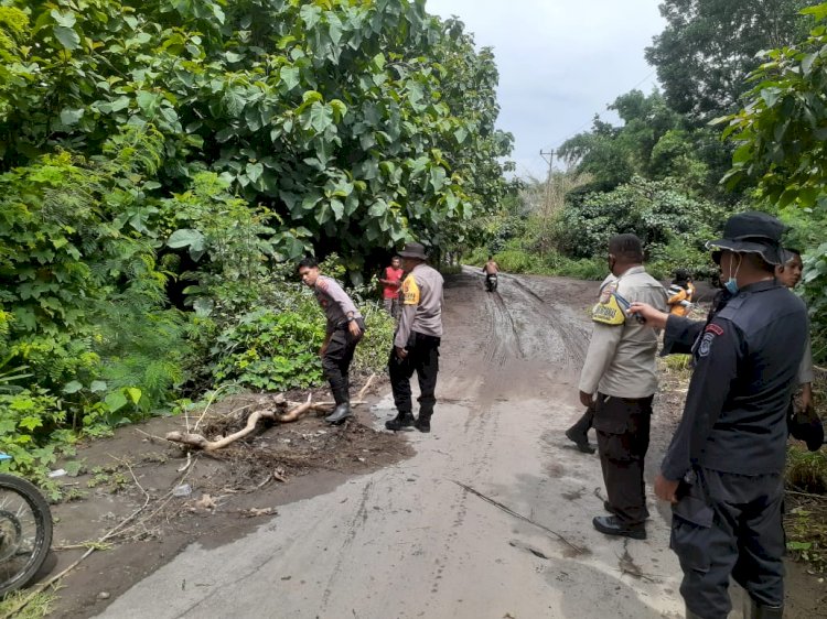 Personil Sat. Samapta Polres Flotim Bersama Personil BKO Samapta Polda NTT Bersihkan Pohon Tumbang Di Jalan Di Kawasan Wulanggitang
