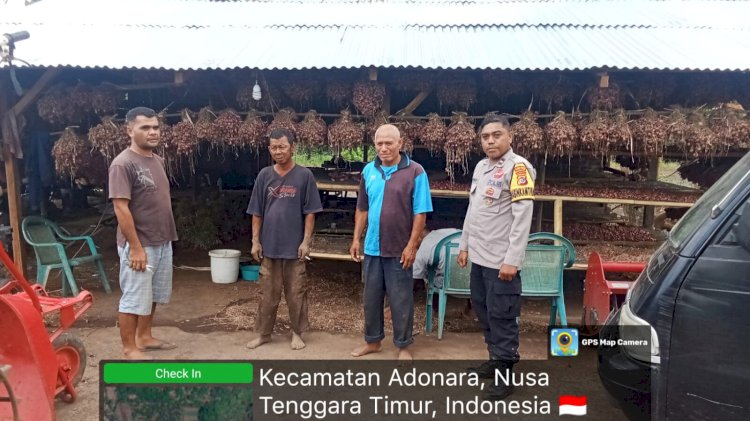 Dukung Program Ketahanan Pangan, Bhabinkamtibmas Adonara Sambangi Petani Bawang Merah di Desa Adonara