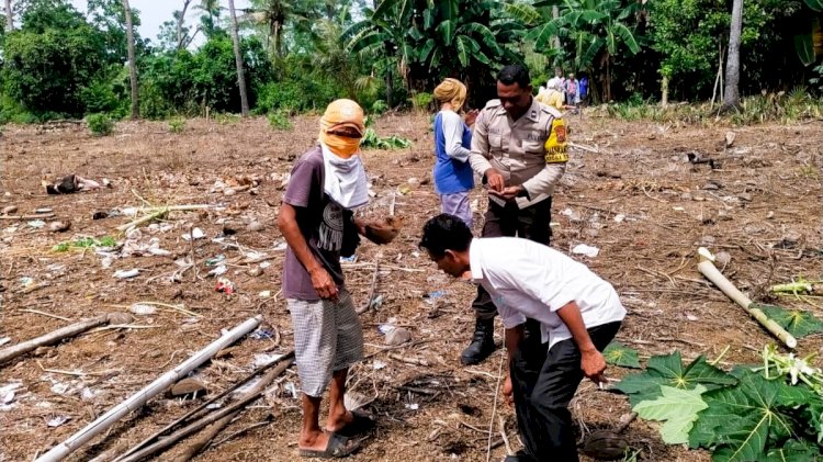 Bhabinkamtibmas Ile Boleng Dampingi Kelompok Tani Tanam Jagung Hibrida