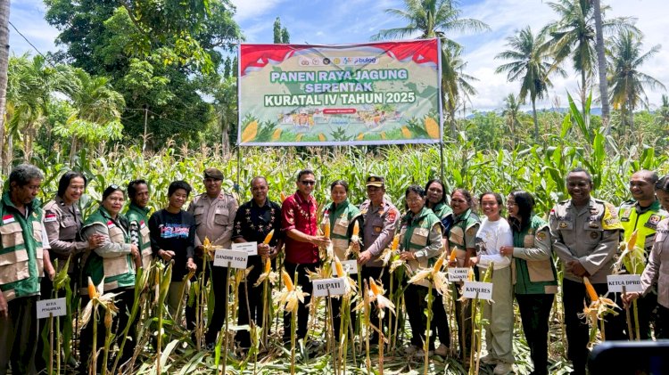 Polres Flores Timur Gelar Panen Raya Jagung Serentak Kuartal IV 2025 di Weri