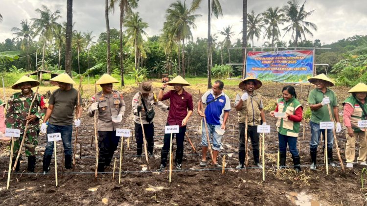 Dukung Swasembada Pangan 2026, Polres Flotim Ikut Tanam Jagung Serentak