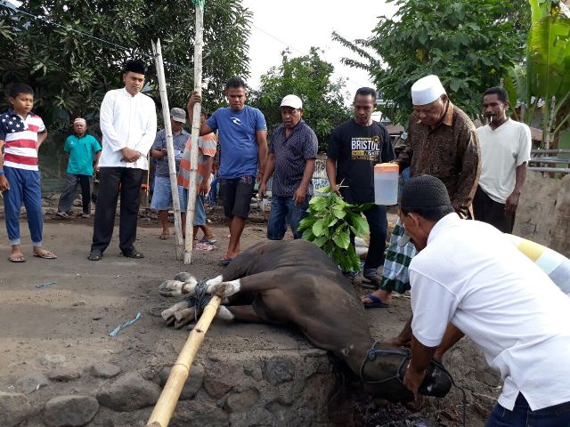 Penyembelihan dan Pembagian Daging Hewan Kurban Dalam Rangka Memperingati Hari Raya Idul Adha 1438 H