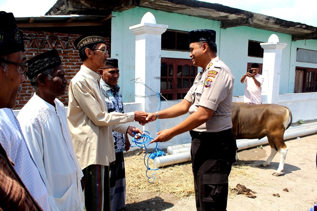 Polres Flotim Menyerahkan Hewan Qurban ke Mesjid Agung Syuhada Larantuka