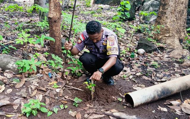 Peduli Lingkungan, Bhabinkamtibmas Lakukan Penghijauan Di Lokasi Mata Air